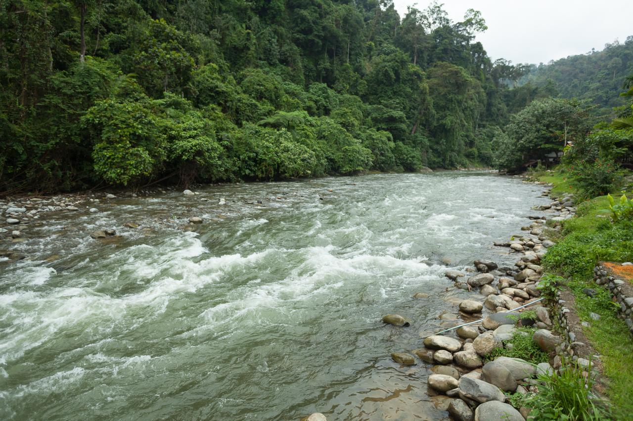 Indra Valley Inn Bukit Lawang Exterior photo