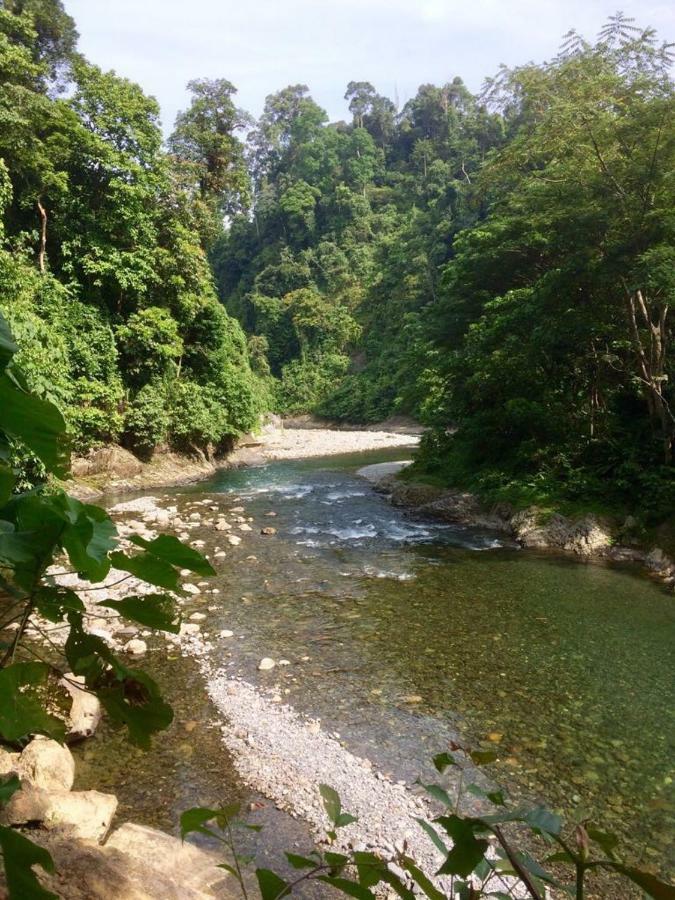 Indra Valley Inn Bukit Lawang Exterior photo